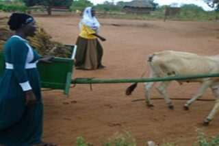 Strengthening Resilient Livelihoods Project (RELIP I – 2019 – 2022)